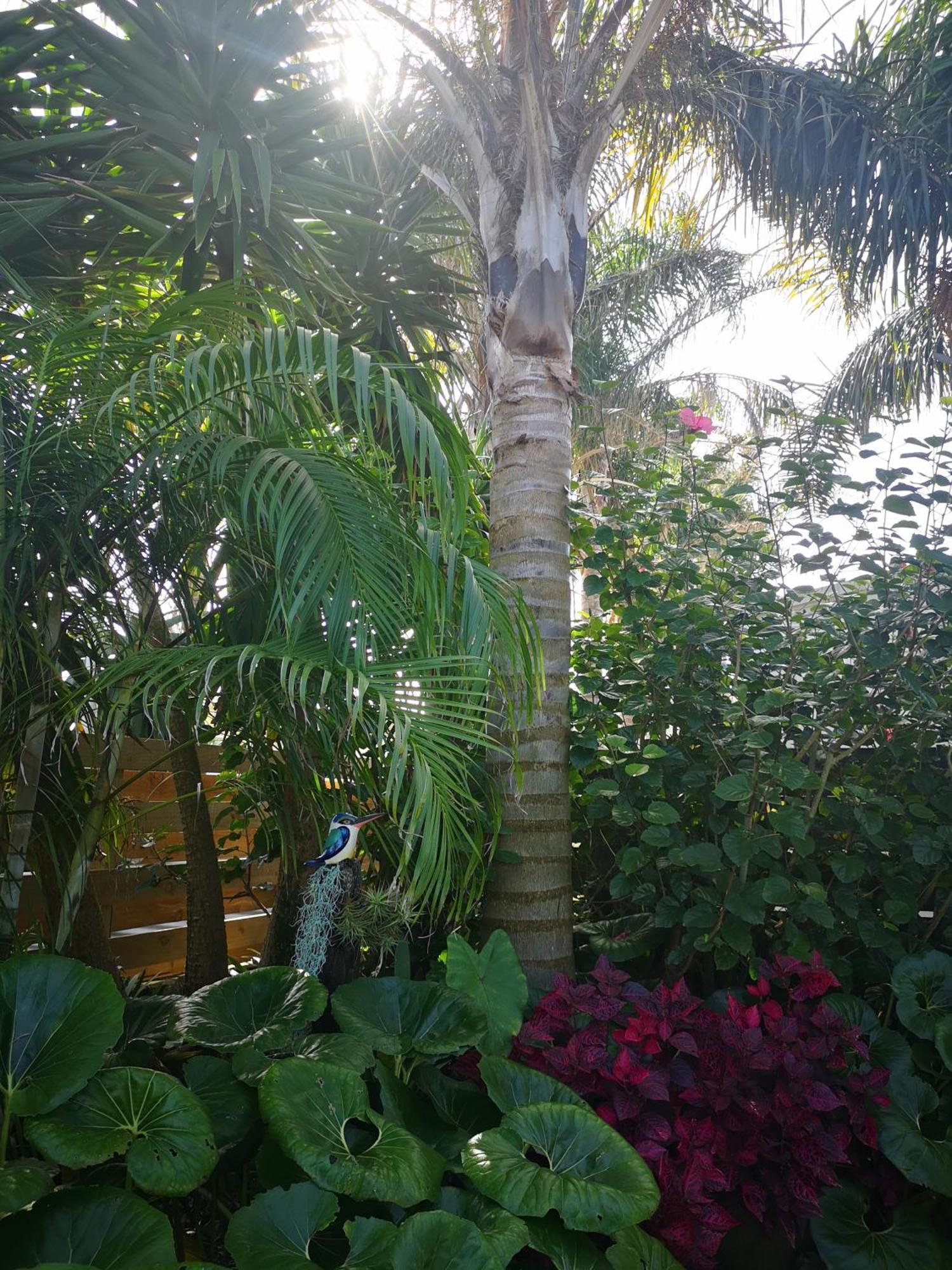 Coast Awhile - Whangamata Holiday Home Екстер'єр фото